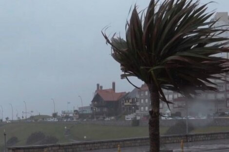 Alerta amarillo por fuertes vientos para Buenos Aires y otras 5 provincias