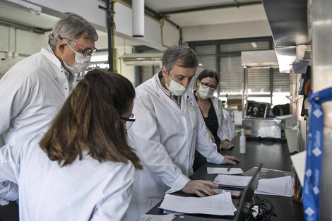 El equipo del Instituto Cesar Milstein (Conicet-Fundacion Cassara) desarrolló el test covid rápido, de base molecular. (Fuente: NA)