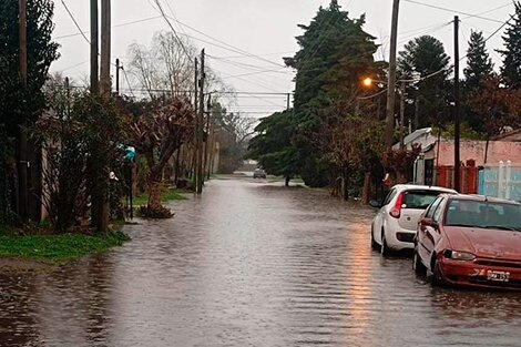 Calles anegadas y agua dentro de las casas en La Plata.