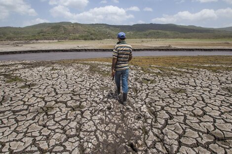 El fenómeno de "El Niño" podría exacerbar los registros de temperatura en lo que resta del año. Y en 2024, superarlos. 