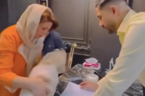 Irán: detienen a un agente inmobiliario por vender un departamento a un perro