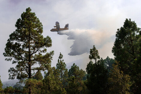 En Tenerife amaina el fuego