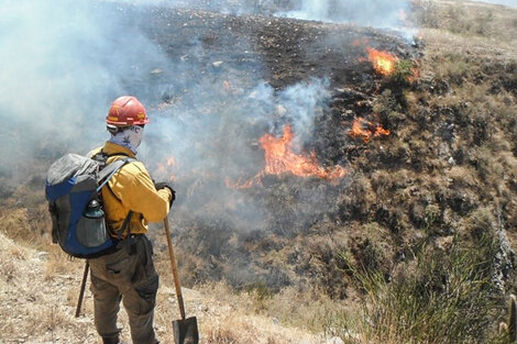 Jujuy registró más de 50 incendios la última semana y preocupa un foco activo en las Yungas  