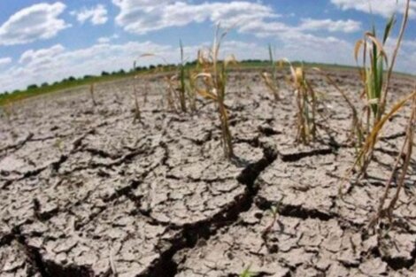 La economía se contrajo en junio