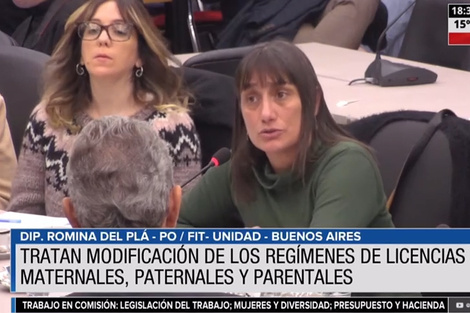 Obtuvo dictamen la modificación de licencias maternales, paternales y parentales 