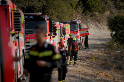 Bomberos y voluntarios griegos y extranjeros, junto con ayuda terrestre y aérea, luchan para contener y apagar el gran incendio en el  bosque de Dadia. (Fuente: EFE)