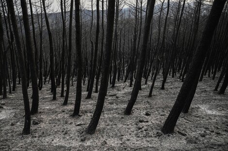 El incendio más grande del que se tenga registro en la UE