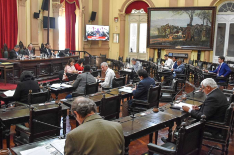 Debate en el Senado sobre el acceso a la justicia en el territorio