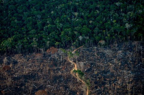 De a poco bajan los incendios