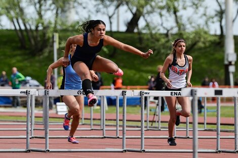 Juegos Bonaerenses: habrá 35.000 deportistas en la fase final en Mar del Plata