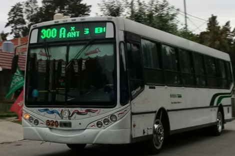 Una por una, cuáles son las líneas afectadas por el paro de colectivos