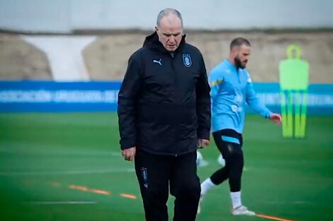 Eliminatorias: el Uruguay de Bielsa debuta ante el Chile de Berizzo