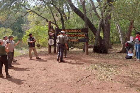 Caso Pizarro, el resonado conflicto de territorio y desmonte casi dos décadas después