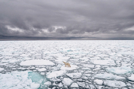 Cambio climático: para la ONU, el mundo "no va por buen camino"