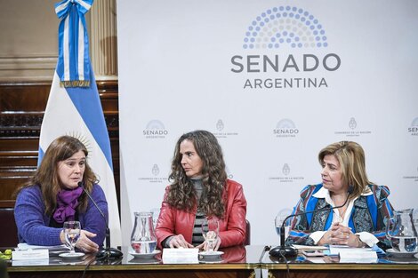 Clara Vega recomendó la derogación de la ley de obstrucción del vínculo 