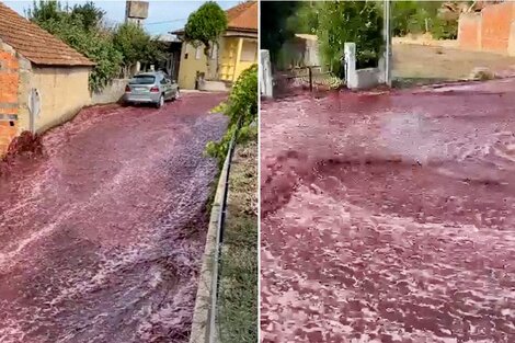 Fenómeno extraordinario: un río de vino tinto inundó una ciudad portuguesa