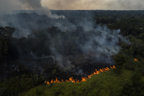 Emergencia ambiental en el estado brasileño de Amazonas por los incendios 