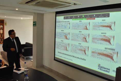 Ecuador declaró alerta naranja por la llegada de El Niño