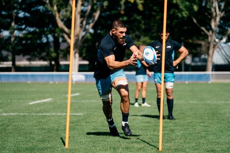 Mundial de Rugby: Cheika definió la formación de Los Pumas para enfrentar a Samoa