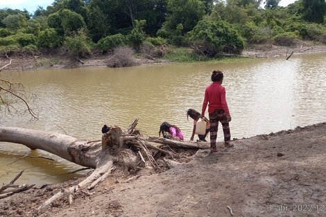 En Rivadavia deben tomar agua de un madrejón que usan los animales