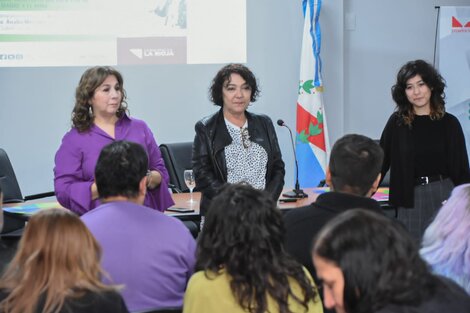 Más de 2000 mujeres accedieron a la IVE