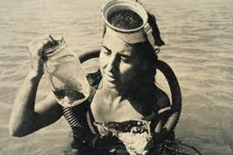 Eugenie Clark: la dama de los tiburones 