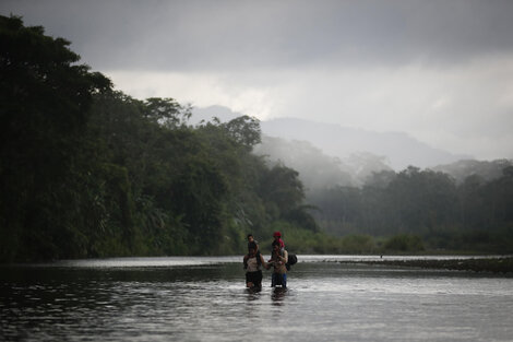 Más de 400.000 personas llegaron este año a Panamá a través de la selva del Darién (Fuente: EFE)