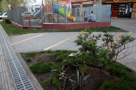 La ciudad dice que hay más espacios verdes, pero incluye canteros y veredas