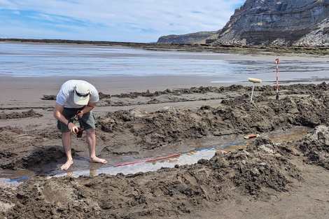 Descubren en Río Negro huellas de un ave prehistórica gigante