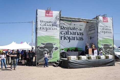 La Rioja realizó su segundo remate organizado por la estatal Cabañas Riojanas