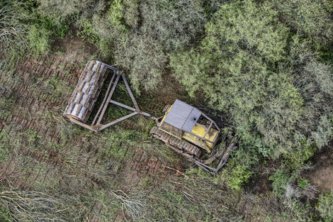 En lo que va de 2023 en Salta se deforestaron más de 5 mil hectáreas