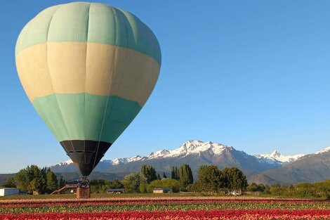 En vuelo sobre un cuadro de Van Gogh