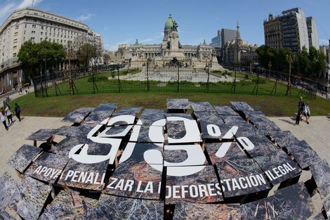 Greenpeace visibilizó el incremento del 21% de desmontes y la necesidad de penalizarlos  