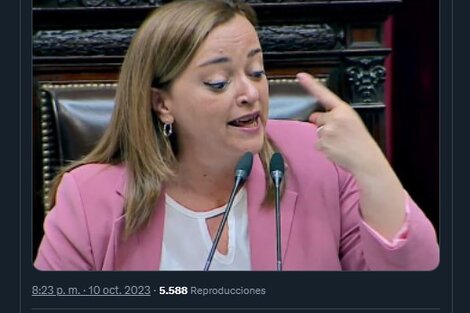 "Macho de vitrina": El fuerte cruce entre Cecilia Moreau y Fernando Iglesias en Diputados