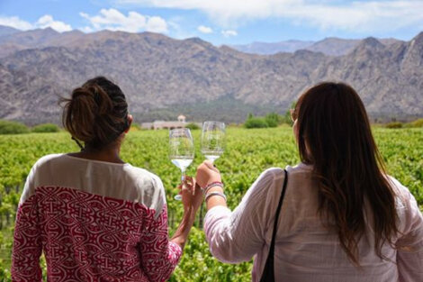 "Nosotros les llevamos los clientes a las bodegas"