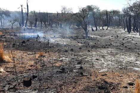 Las impactantes imágenes y videos de los incendios en Córdoba