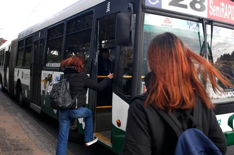 Las claves para la renuncia voluntaria al subsidio del transporte público