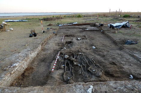 Al comenzar las excavaciones, los arqueólogos encontraron restos óseos de 2000 años.