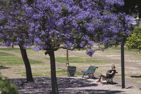 Feriado noviembre 2023: ¿Qué pasa con el fin de semana largo?