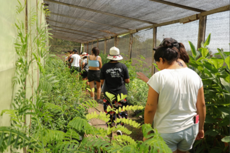 Un vivero de árboles nativos para el plan de forestación de la Asociación Mujeres Trabajadoras de la Tierra.