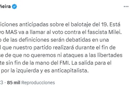 Manuela Castañeira aseguró que el Nuevo MAS "va a llamar al voto contra el fascista Milei"