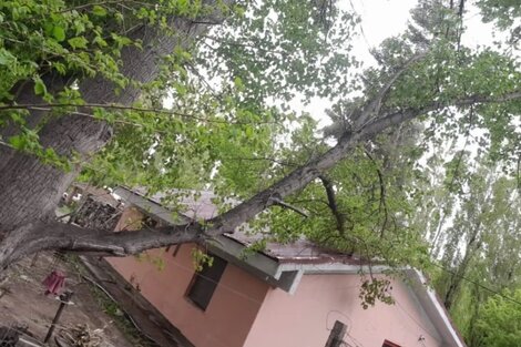 El viento Zonda en Mendoza causó voladura de techos, árboles caídos y cortes de luz