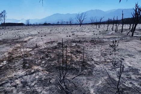 Continúan las tareas para controlar el incendio en Cafayate