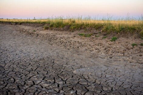 Una agenda ambiental para salir de la crisis