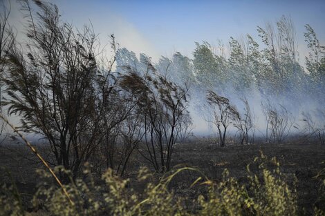 Rige una alerta amarilla por fuertes vientos en 8 provincias cordilleranas y por tormentas en Misiones.