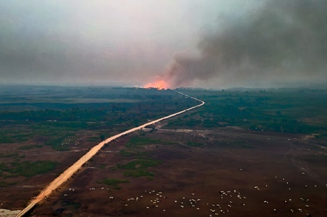 El alivio de las lluvias para el pantanal brasileño