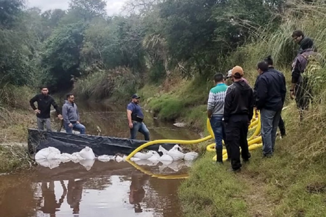 Confirman que uno de los restos óseos es humano y buscarán extraer ADN 