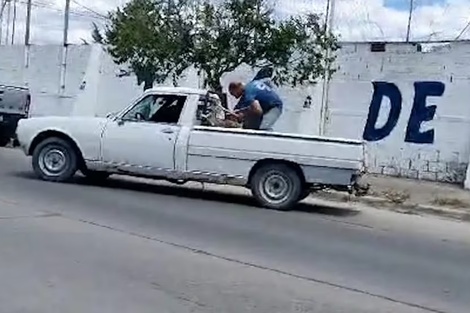 Con "amigos" así, en Puerto Madryn no se necesitan enemigos