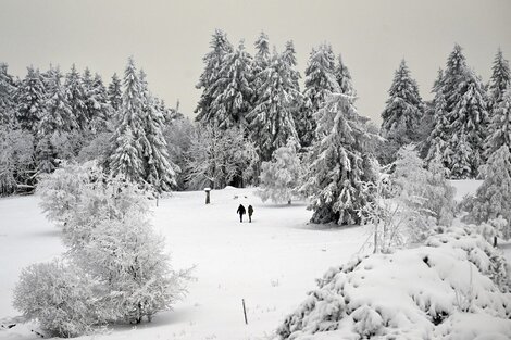 Video: se reanudan los vuelos tras el fuerte temporal de nieve que afectó a gran parte de Alemania