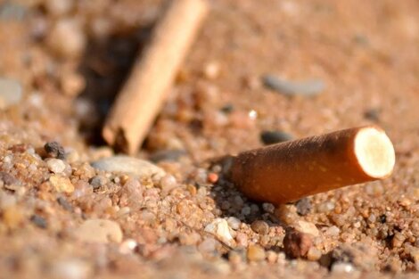 Prohibido fumar en la playa: cuál es el daño de las colillas de cigarrillo al ambiente, según expertos